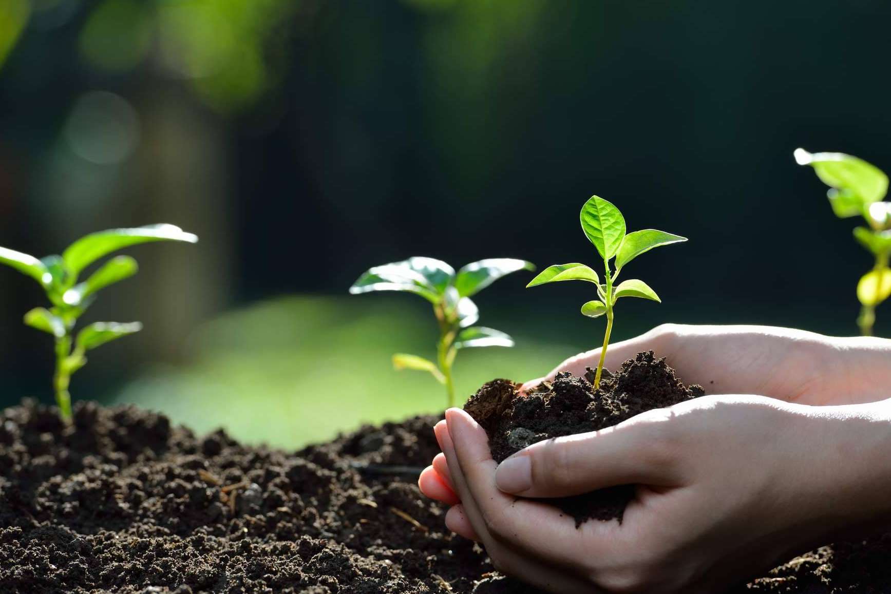 GreenAir, uno de los primeros sistemas mineros sostenibles y ecológicos
