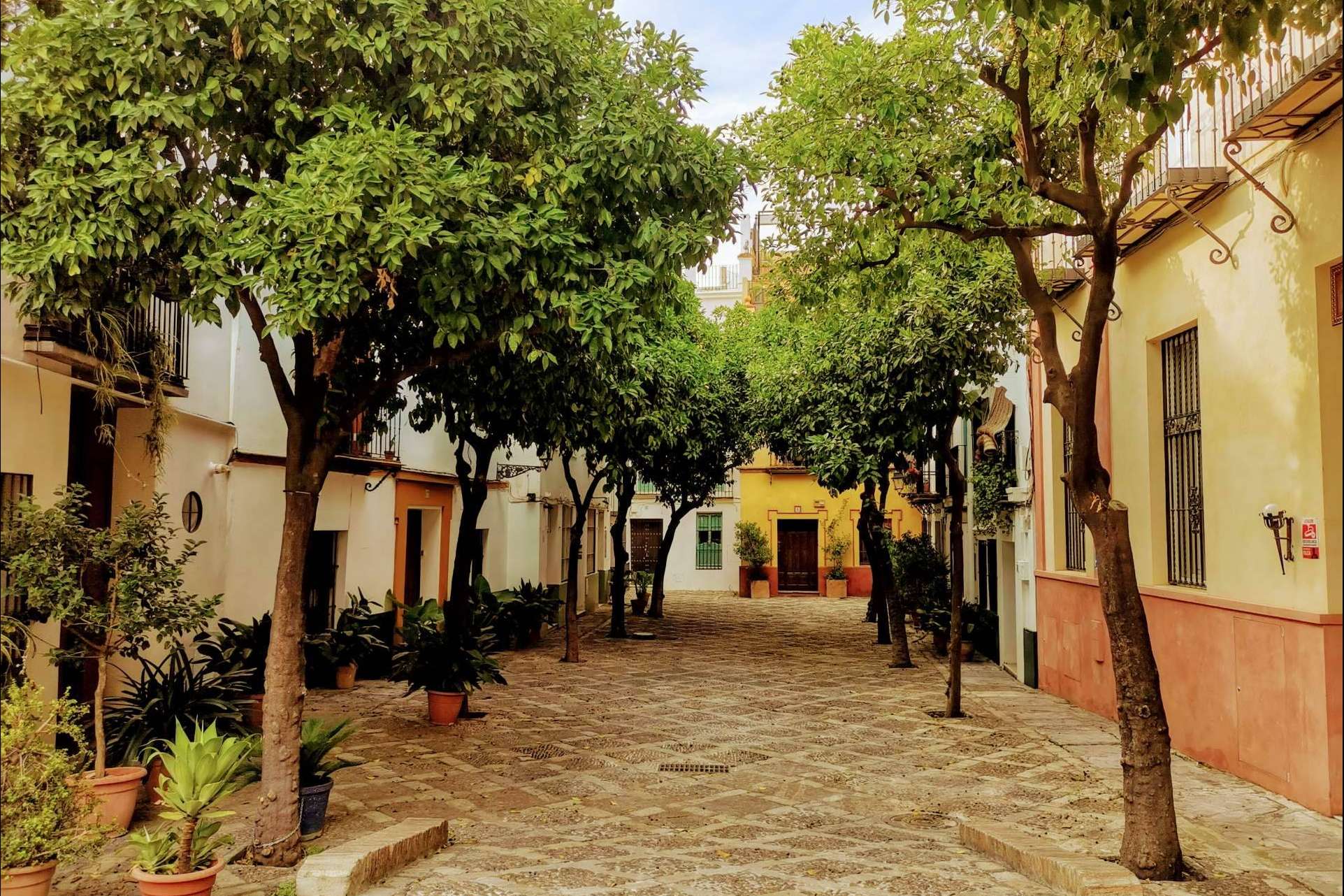¿Cómo son las visitas guiadas en Sevilla con Tu guía de Sevilla?