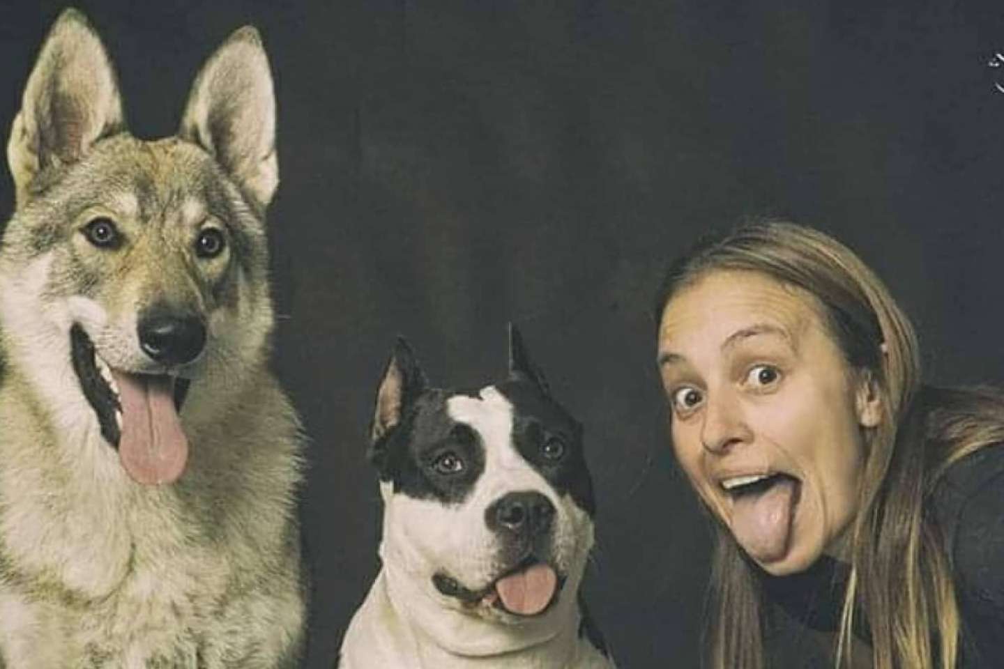 ¿Qué es una guardería de día para perros?, por PERROBUENO