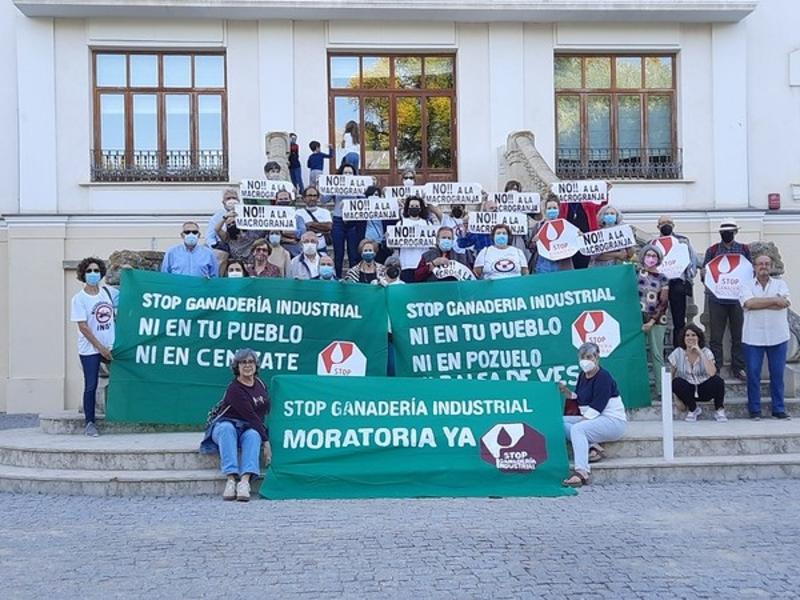 Stop Ganadería Industrial pide una reunión al Gobierno para acabar con la ganadería industrial