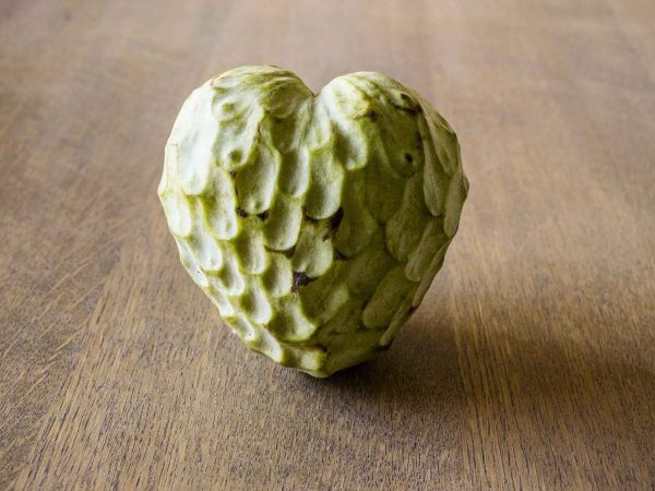 Chirimoya
