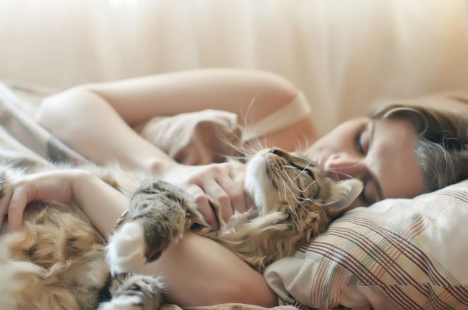 dormir con gato Merca2.es
