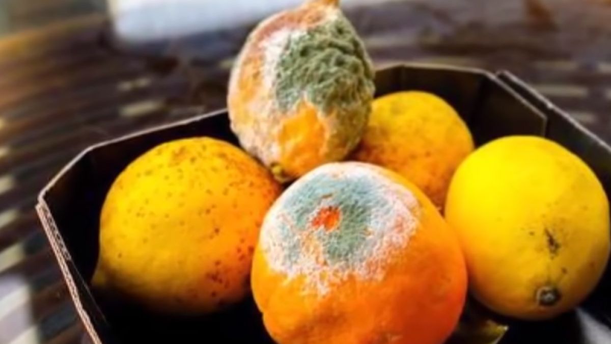 Los tres alimentos que se pueden comer con moho según la OCU