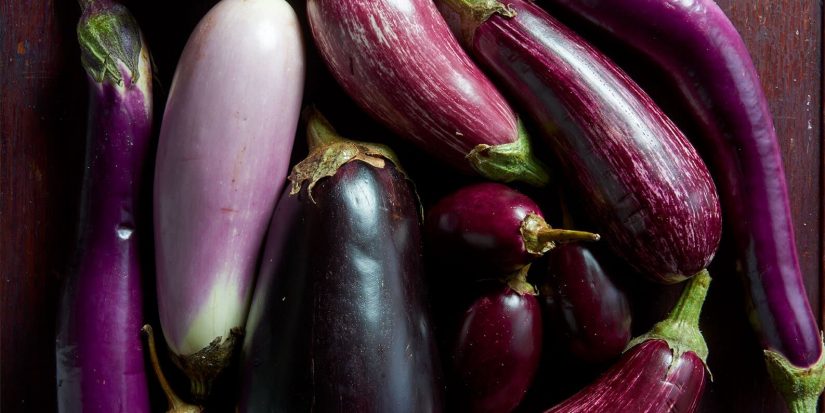 102663799 types of eggplants Andy Lyons Merca2.es