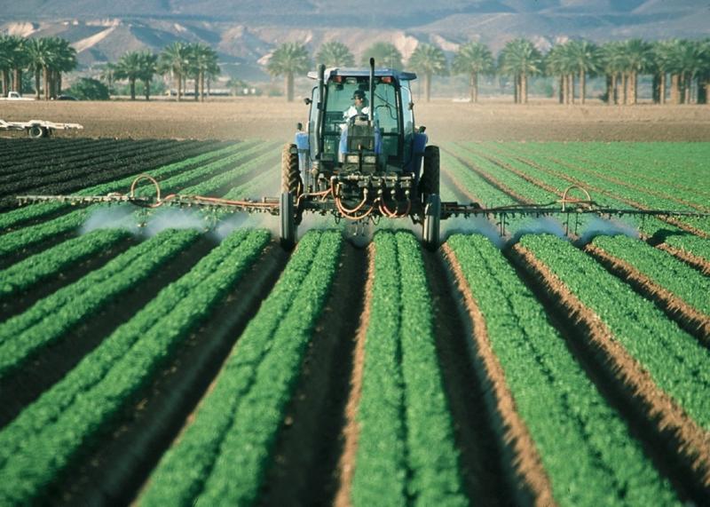El Gobierno aprueba el Perte agroalimentario, dotado con 1.000 millones y un impacto mínimo de 3.000 millones
