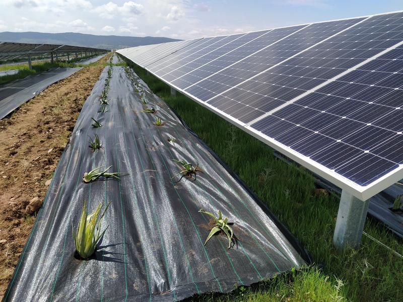 Endesa conectó 627 MW renovables a la red en 2021 en España y suma 1,9 GW ‘verdes’ en los últimos tres años