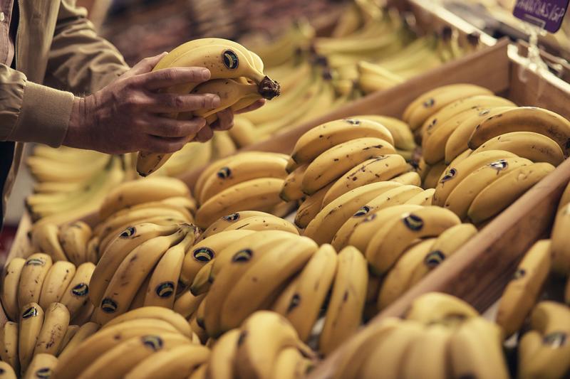 Plátano de Canarias cierra 2021 con más de 409 millones de kilos en ventas y una facturación de 396 millones