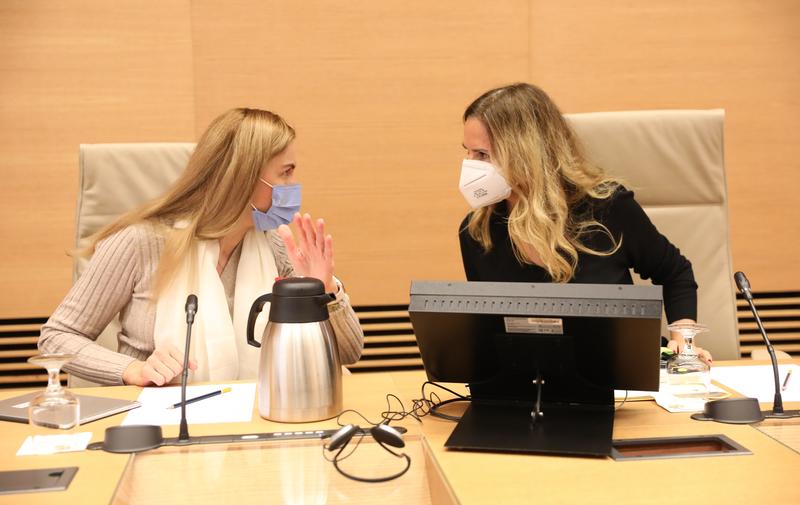 Bruselas trabaja en propuestas para facilitar precios regulados de energía dentro del mercado marginalista