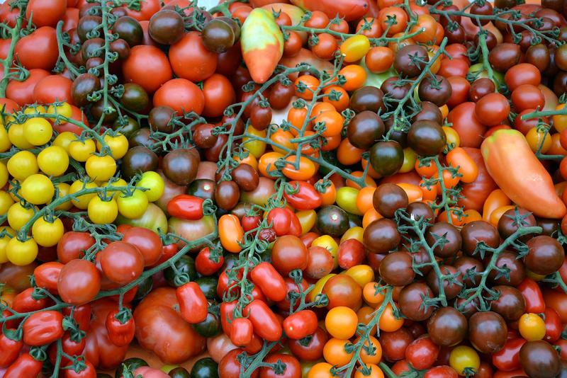 La inversión interna en I+D en el ámbito agroalimentario se elevó un 3,6% en 2020, hasta 845 millones