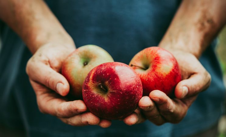 Podrías experimentar problemas digestivos manzanas