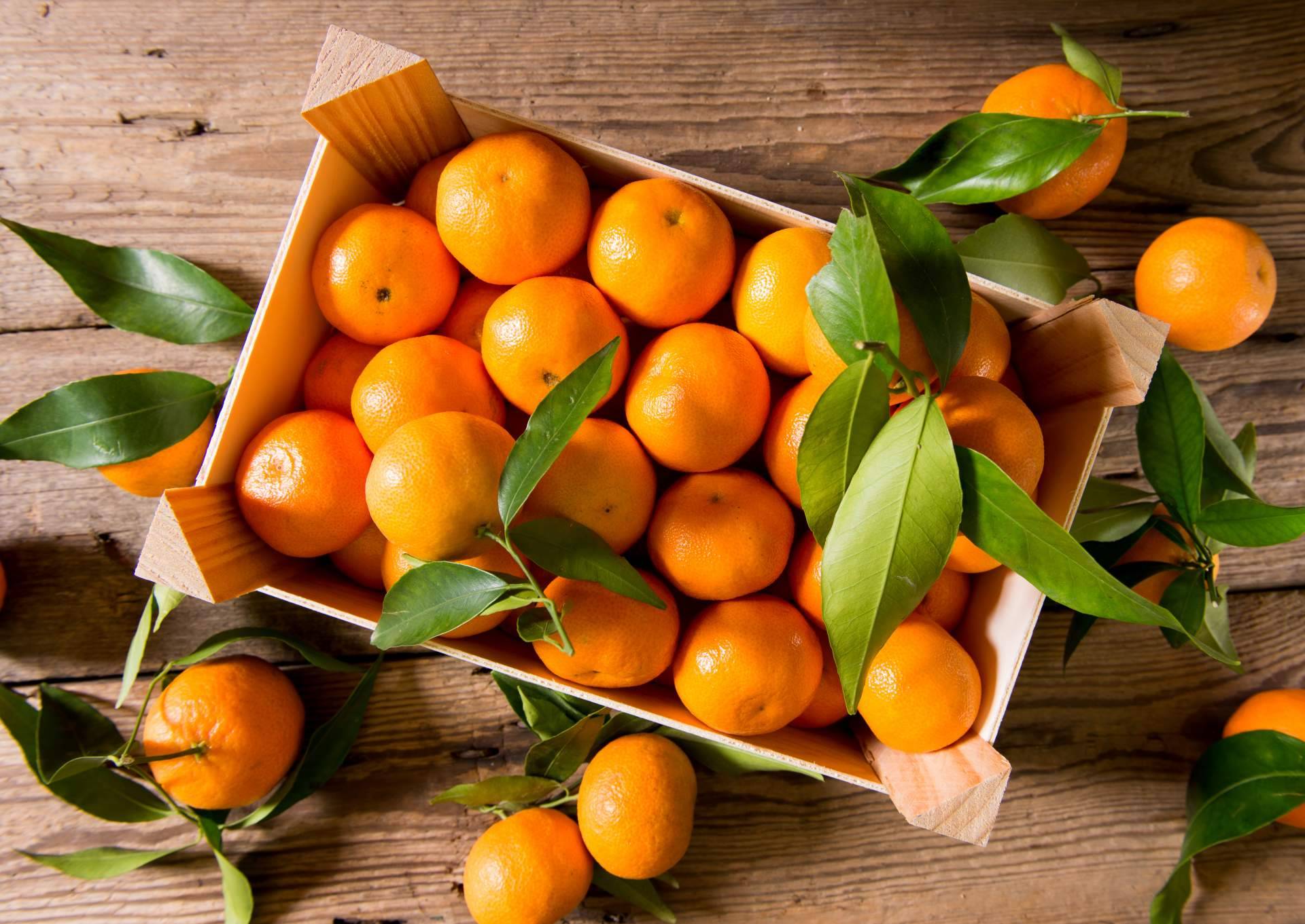 La venta online como solución a la crisis de precios en la agricultura, por Sabor a Naranjas
