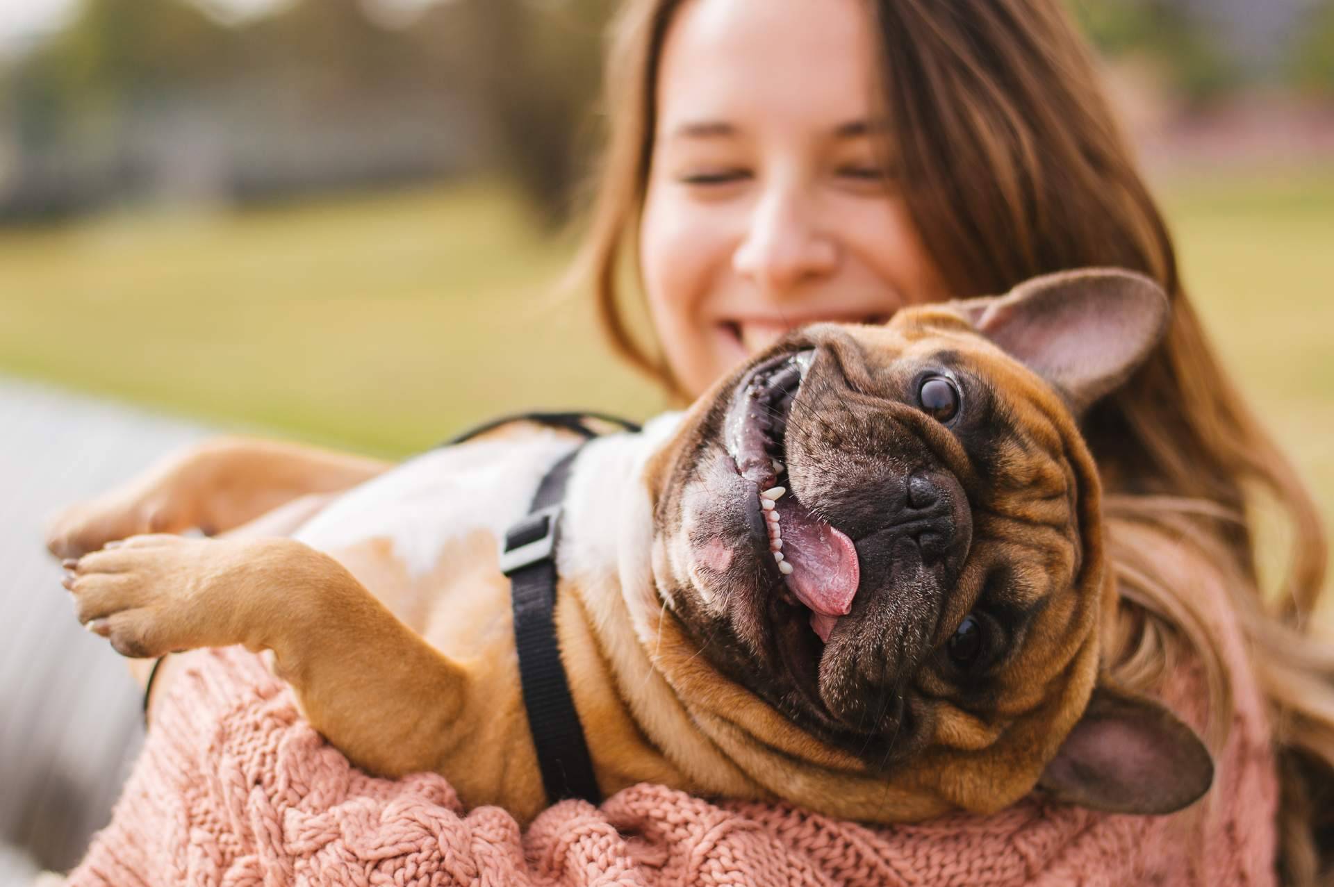 Formarse en antrozoología (ciencia del vínculo humano-animal) para conectar con los animales de compañía