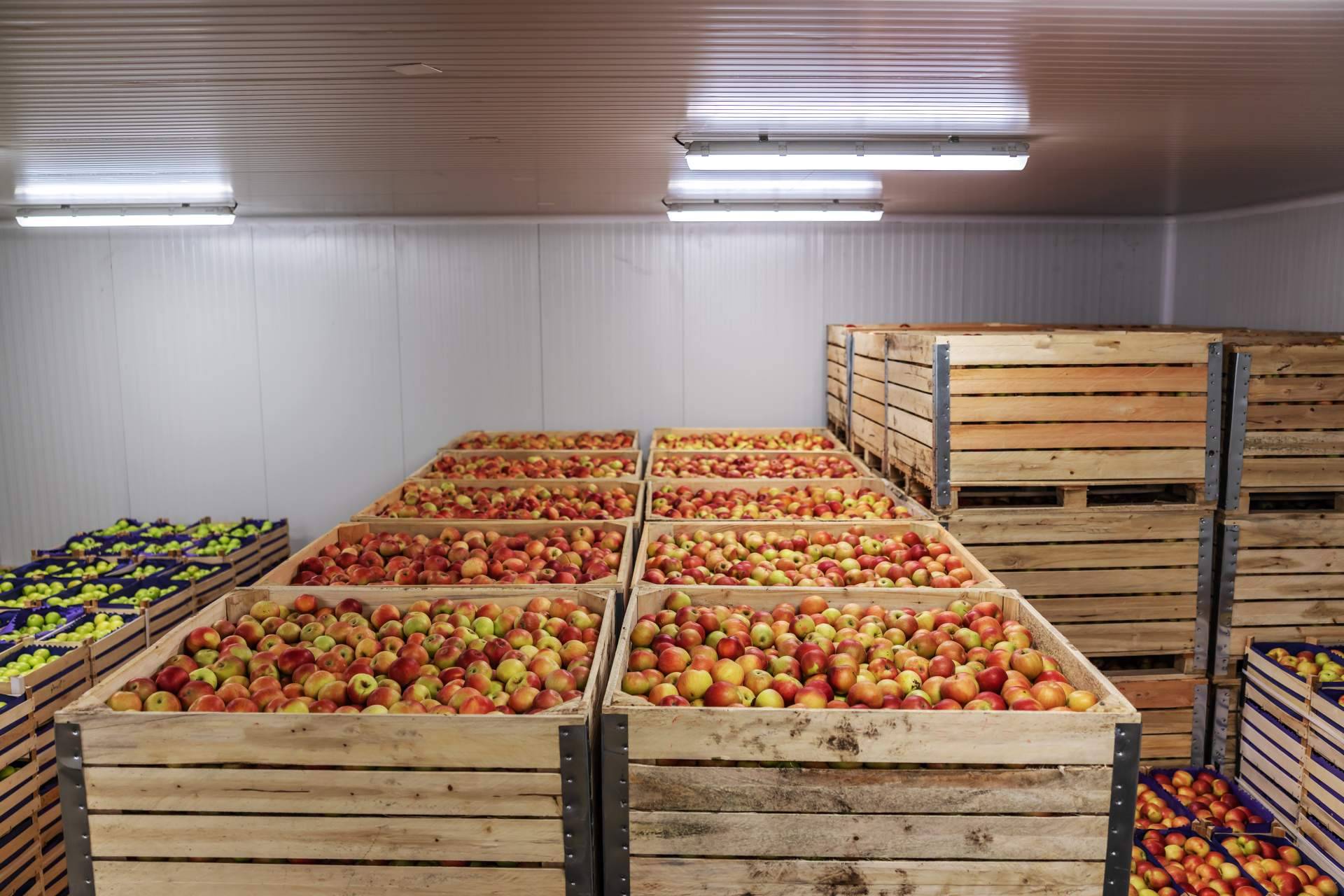 AACORE SUPPLY ofrece un configurador online de cámaras frigoríficas