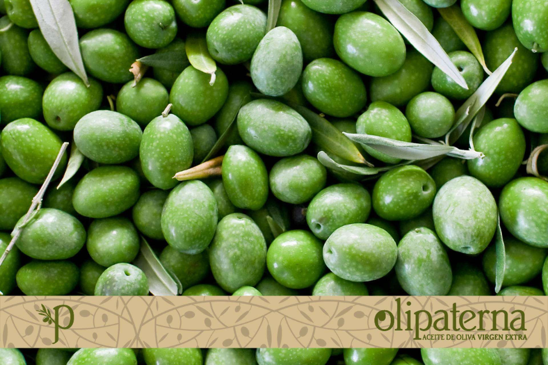 Olipaterna, el Aceite de Oliva Virgen Extra de Huelva