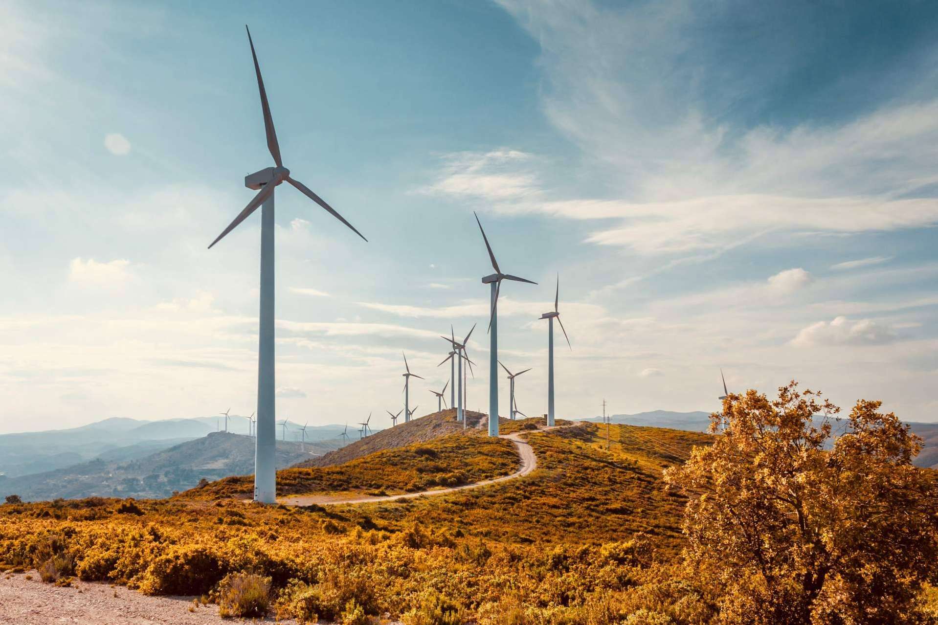 El Grupo Fersa continúa apostando por las energías renovables, cubriendo el 15 % de la potencia instalada en China, el mayor mercado del mundo en el sector eólico