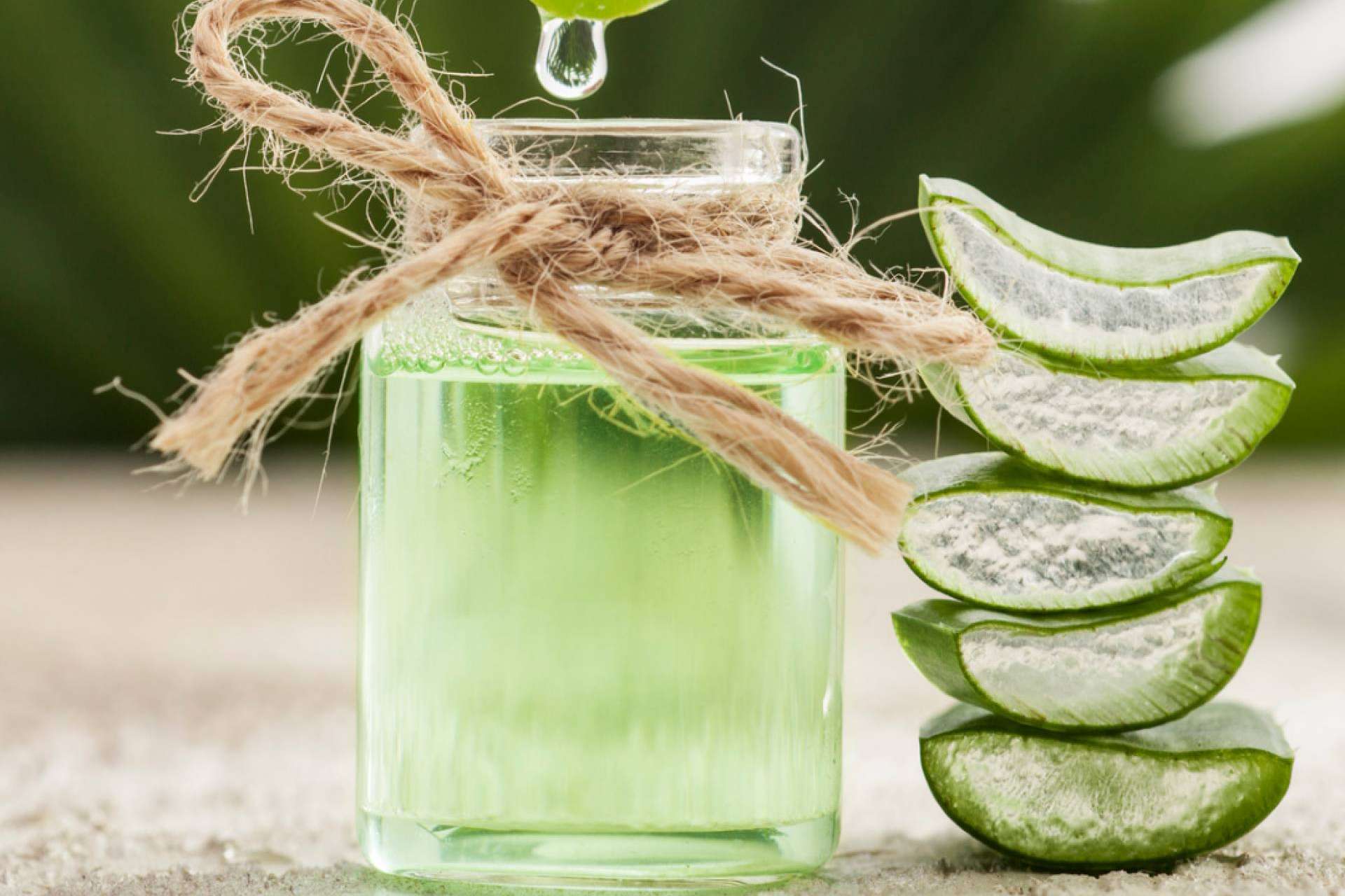 Los beneficios del aloe vera en la cosmética de CrisEssens