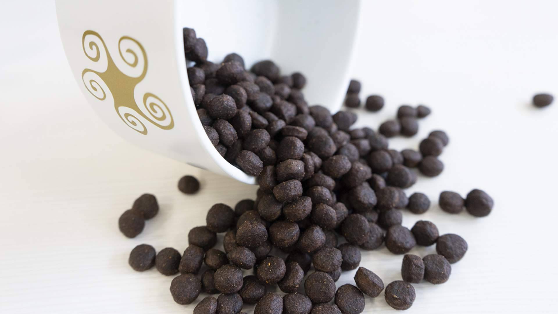 La alimentación Grain-Free para perros de la marca Lenda
