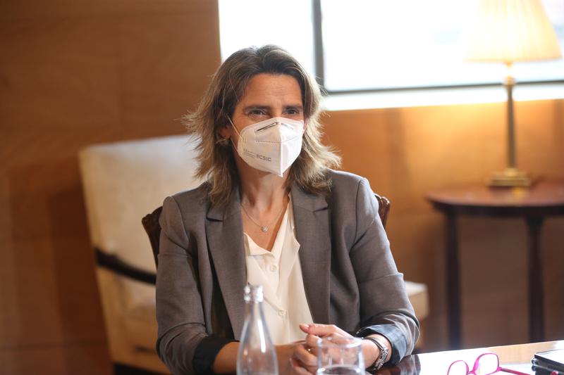 Ribera cree que si las eléctricas bajasen sus tarifas «sería un gesto muy apreciado»