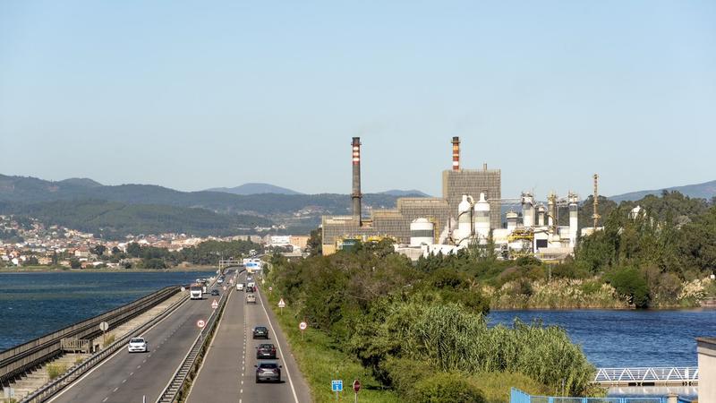 Ence se afianza en 2022 por el precio de la celulosa y la alta demanda