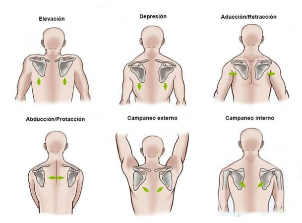 Retracción escapular