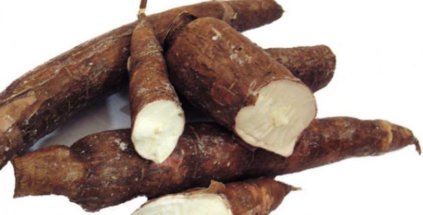 Yuca Merca2.es