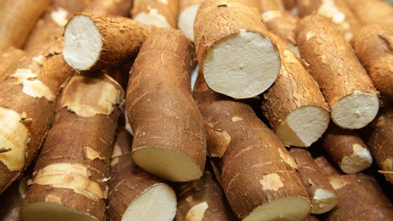 Yuca-El peligro que acecha a tu té de burbujas