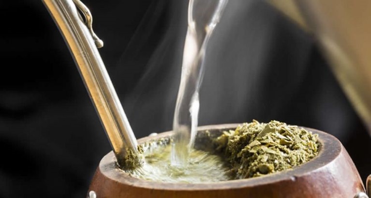Hojas yerba mate cancer