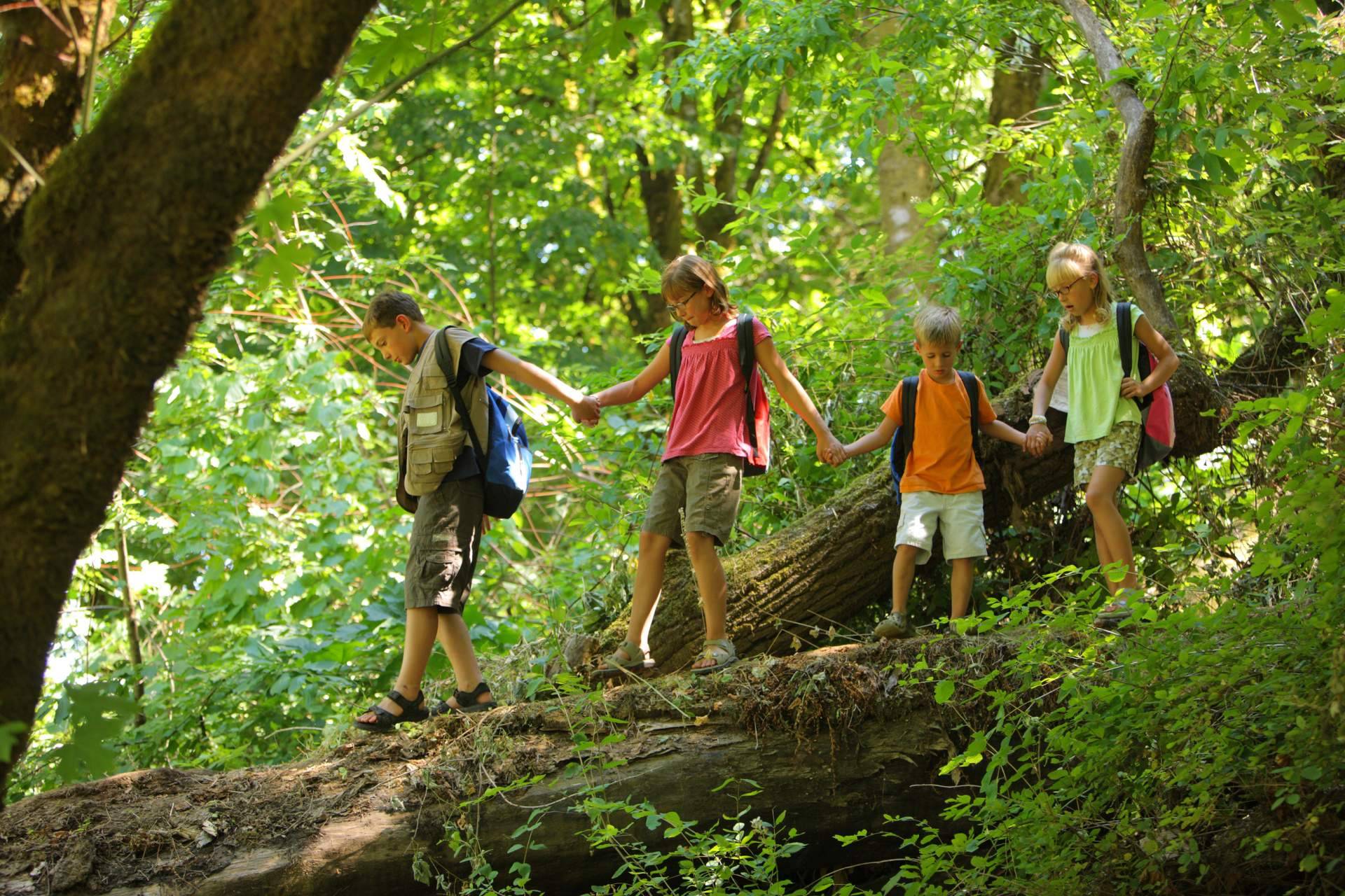 Los campamentos de verano de Aventurarte permiten conectar con la naturaleza