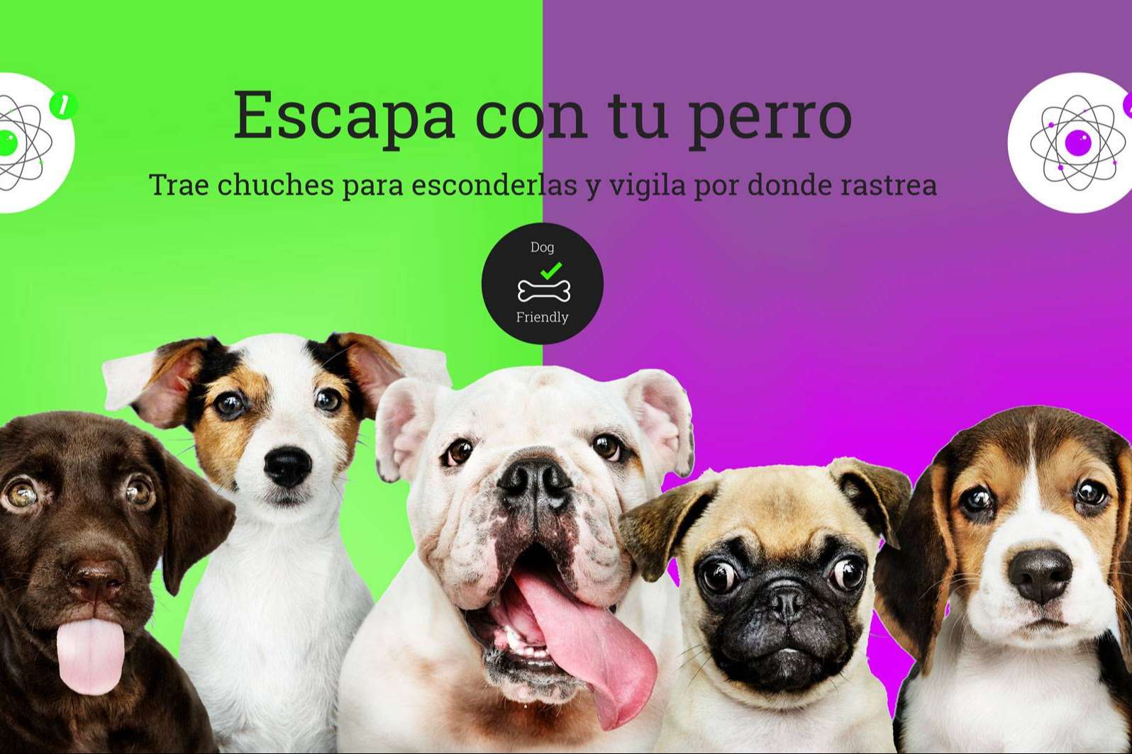 Cronologic, un escape room dogfriendly en Barcelona