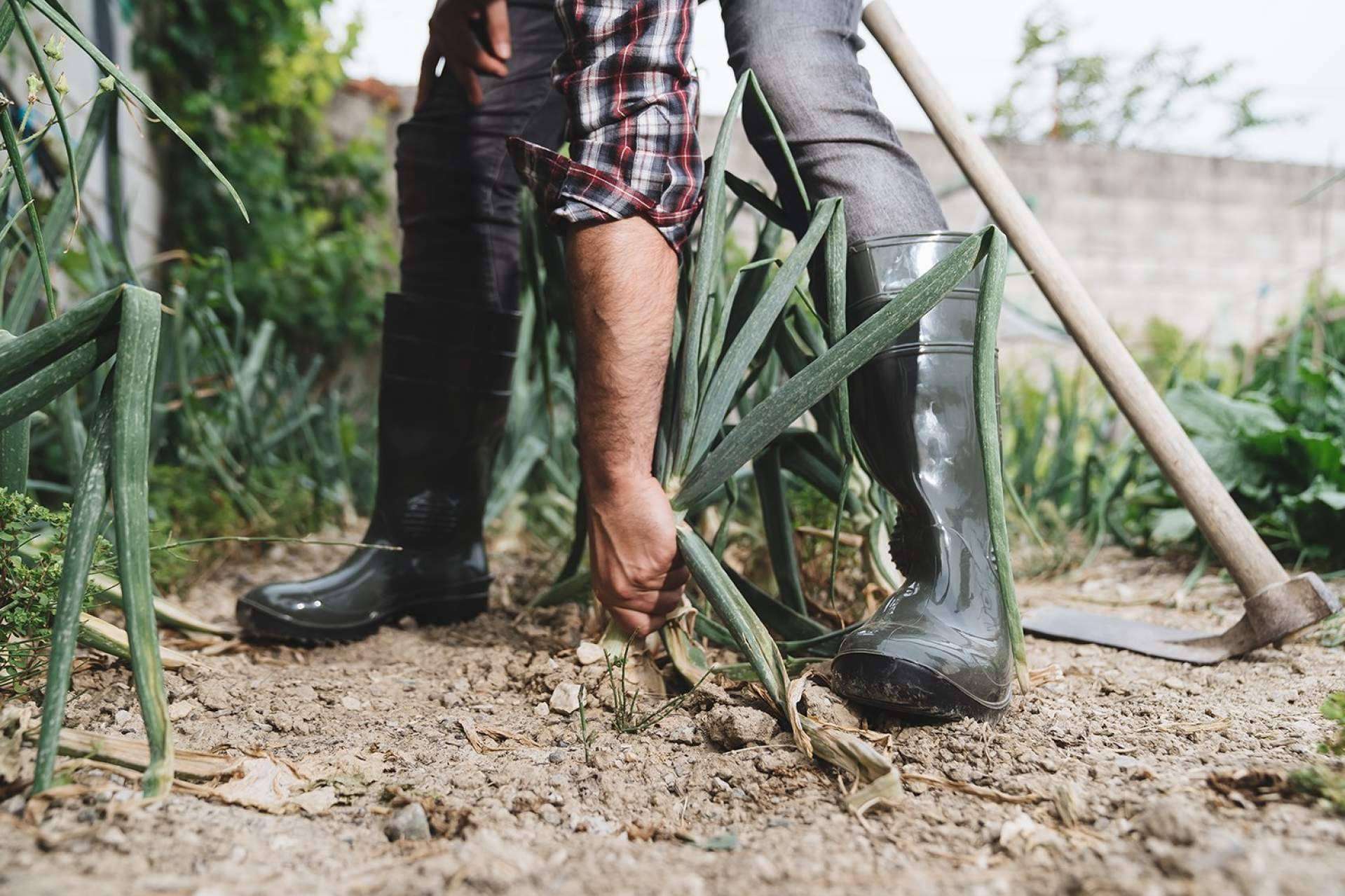 Botas de huerta de calidad, de la mano de Mavinsa