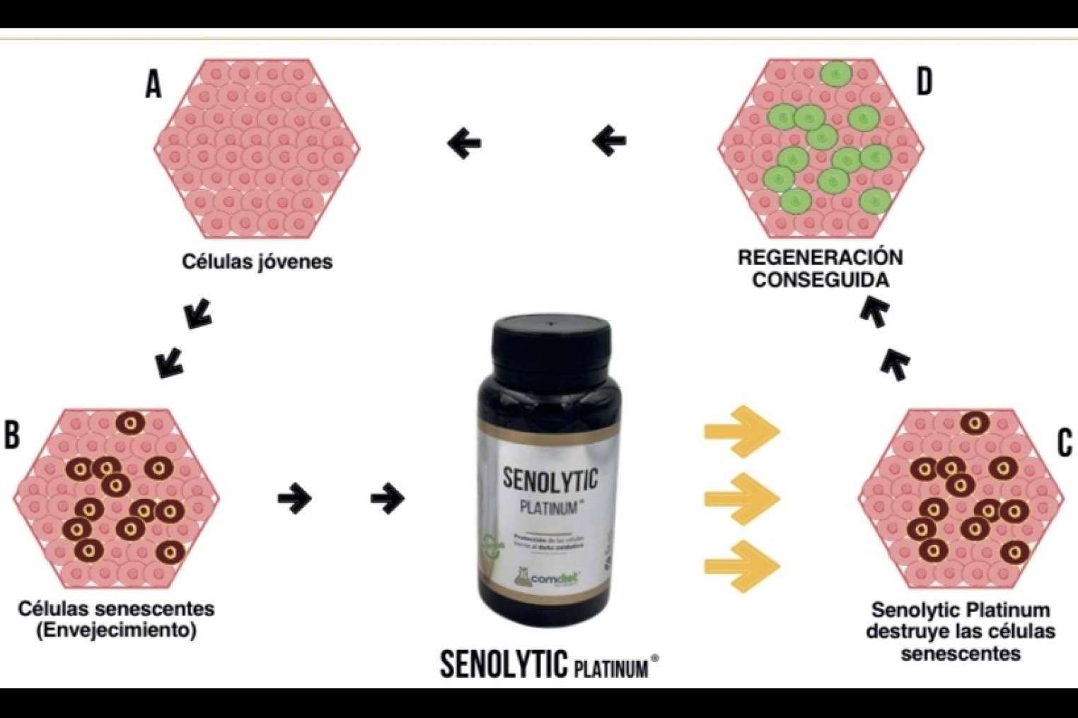 SENOLYTIC PLATINUM es el producto de Comdiet Roig Laboratorios creado para combatir el daño oxidativo