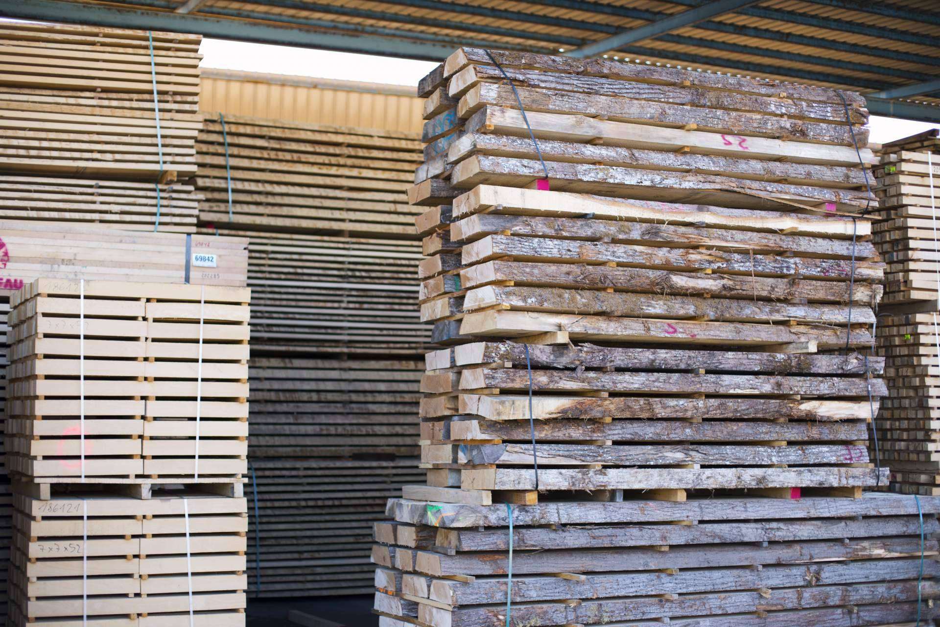 La industria de la madera y su innovación, sostenibilidad e internacionalización