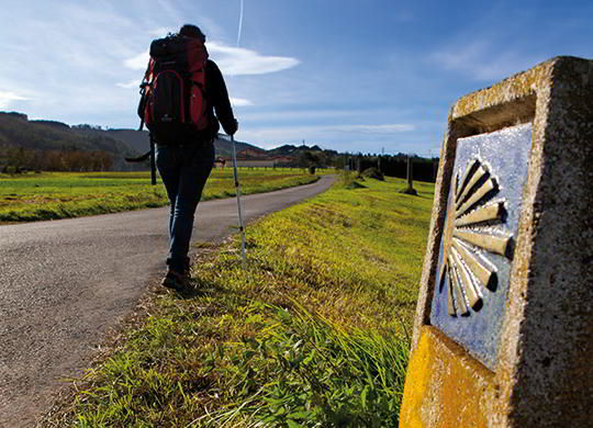 Camino de Santiago