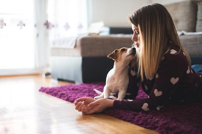 Trucos para que tu casa huela bien si tienes un perro