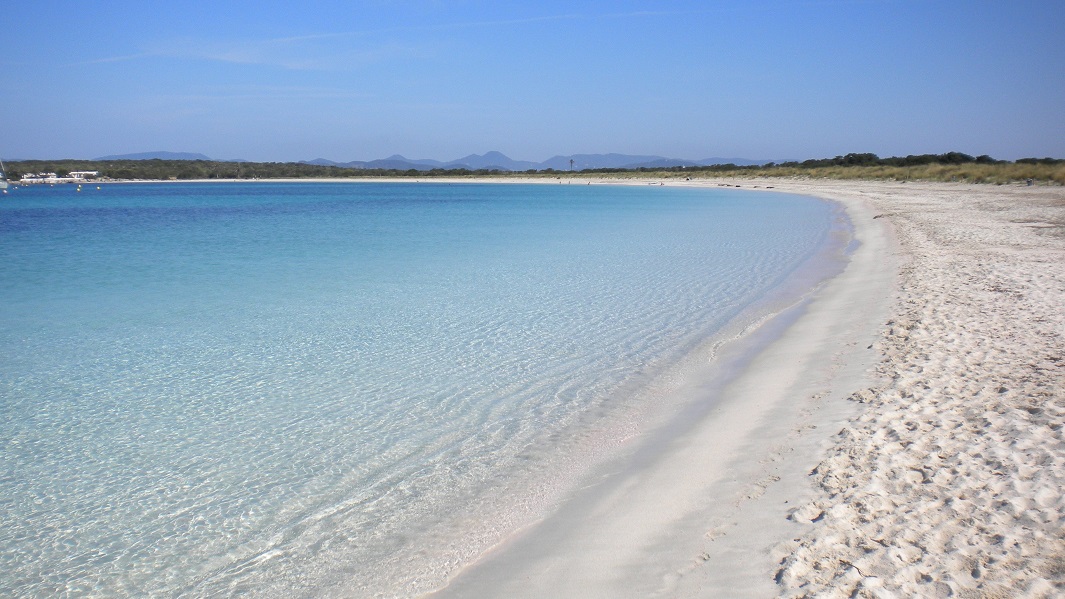 Caribe español canario