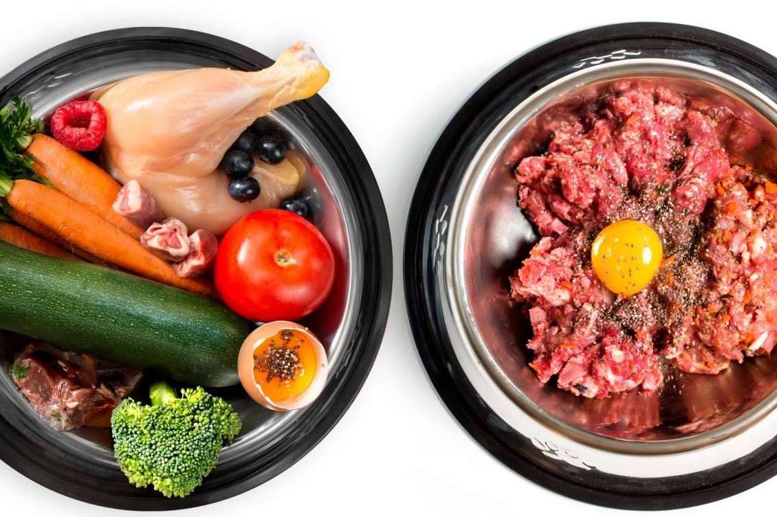 Los beneficios de la dieta BARF en perros