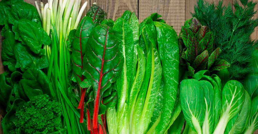 Verduras de hoja verde