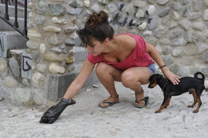 perro