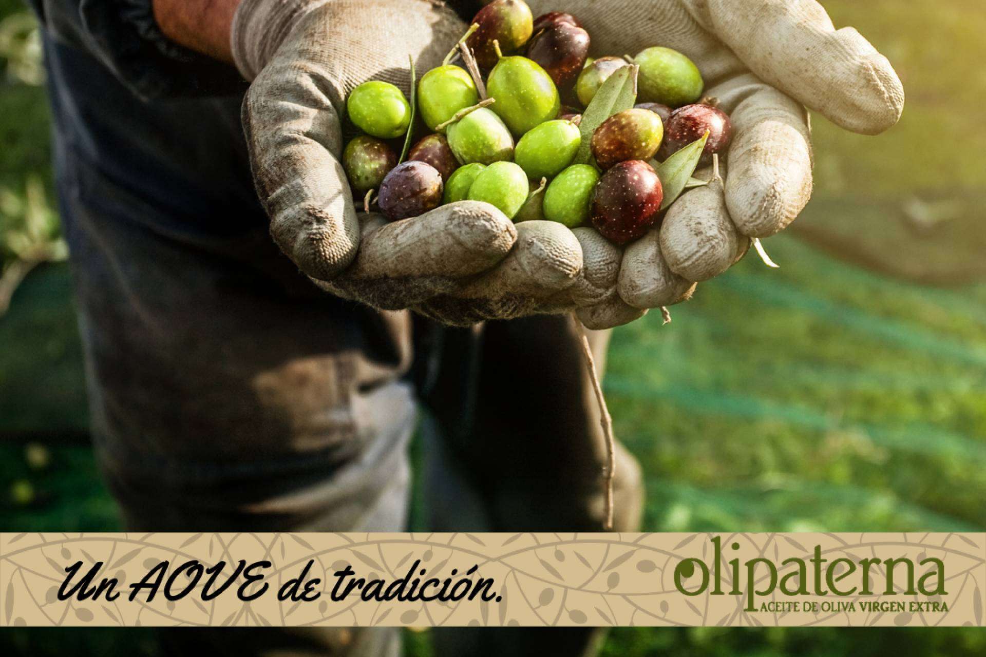 El aceite de oliva virgen de Olipaterna es galardonado en la octava edición del Premio al Mejor AOVE de la provincia de Huelva