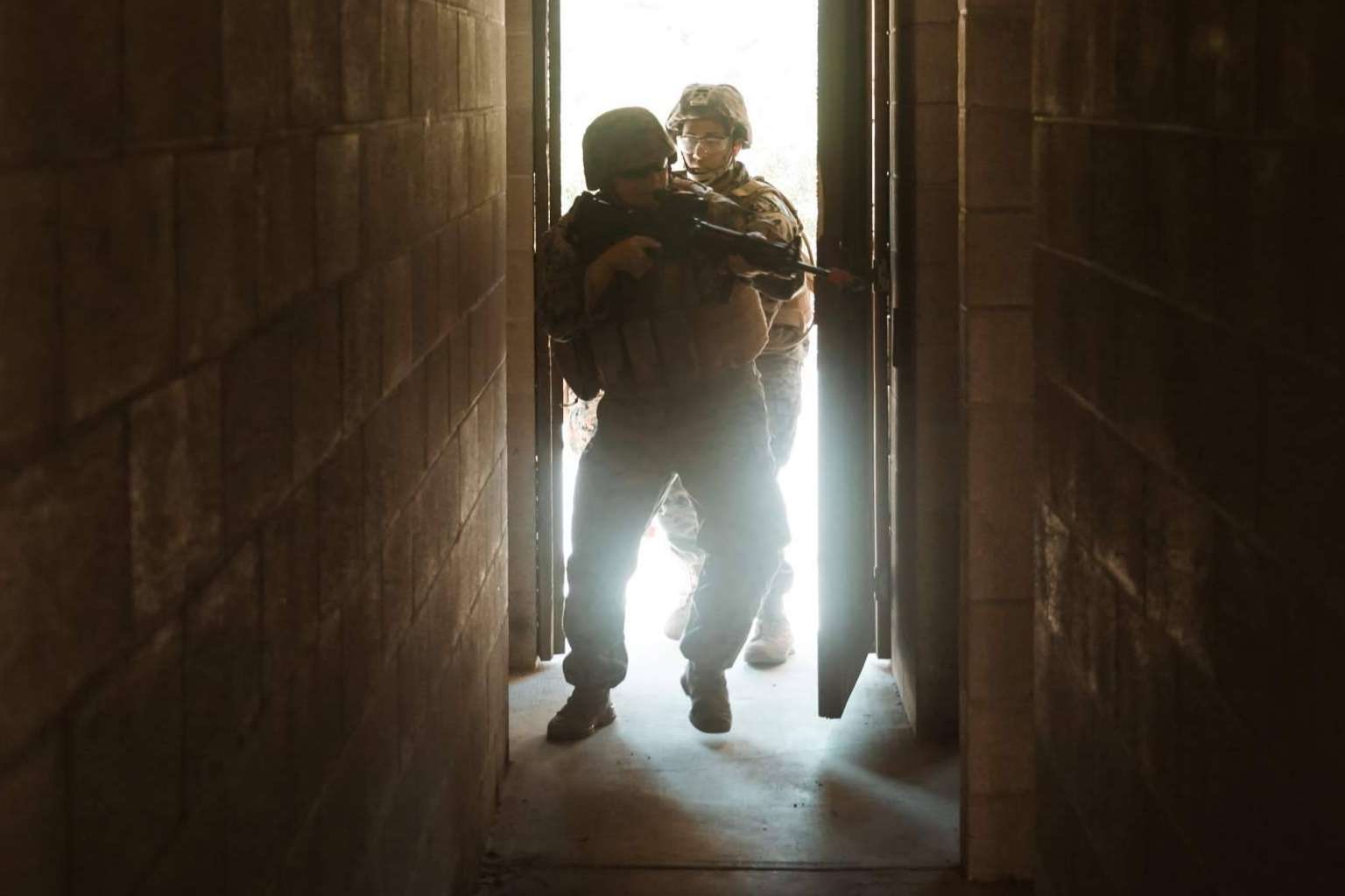 APIC international security, unidad especial de intervención