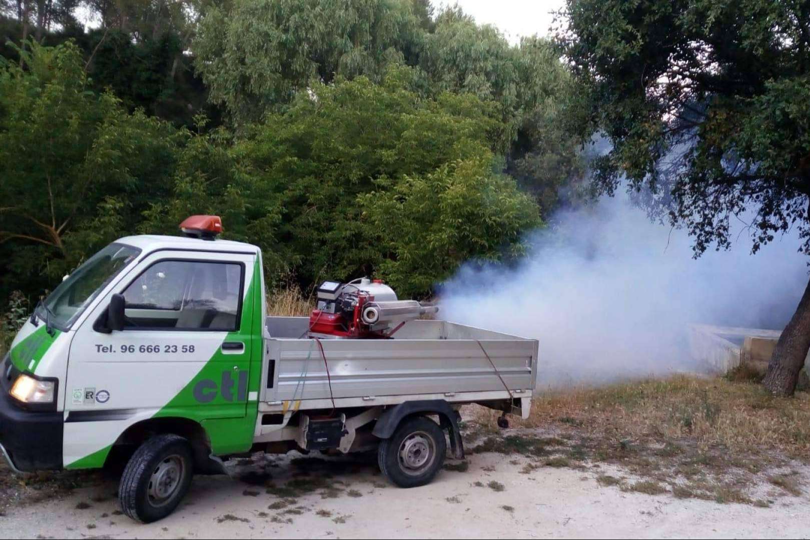 Intensificar los tratamientos contra las plagas por las lluvias en Castellón