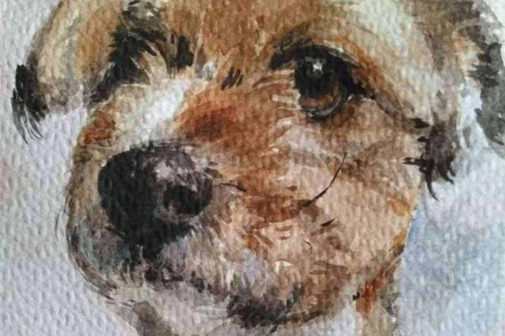 El Taller de la Salamandra ofrece un taller de dibujo, pintura y fotografía para fomentar la creatividad