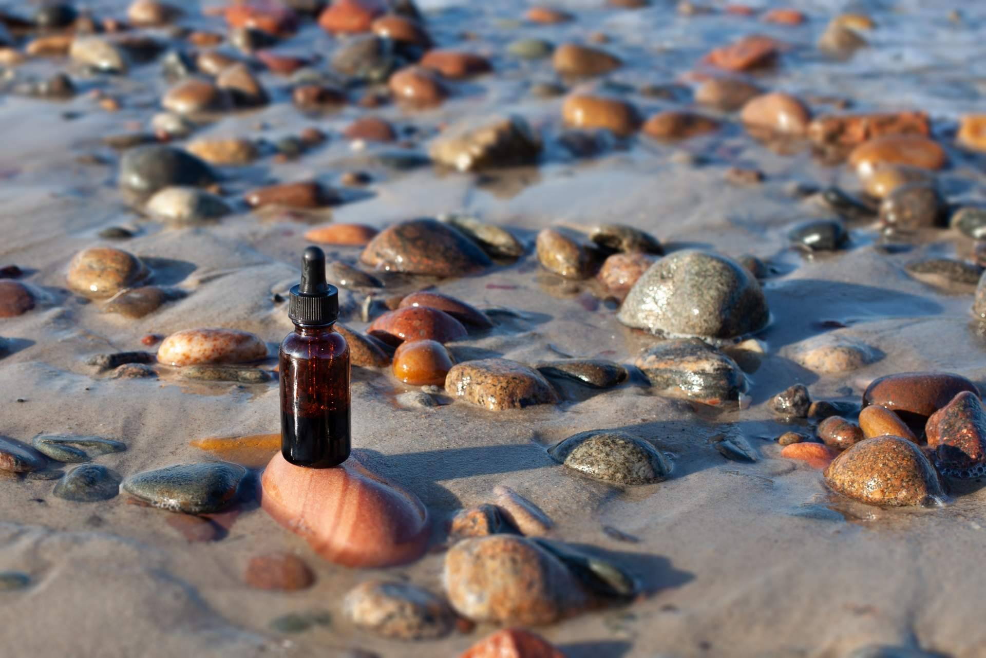 Fitoterapia, un elemento básico de la naturoterapia
