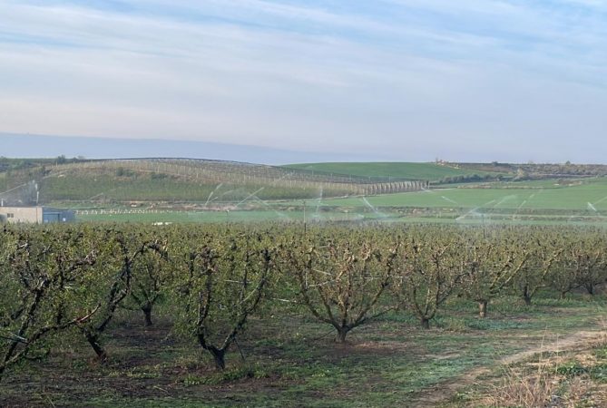 La cosecha económica de Lleida se queda helada 1 Merca2.es melocotoneros helada lleida Merca2.es