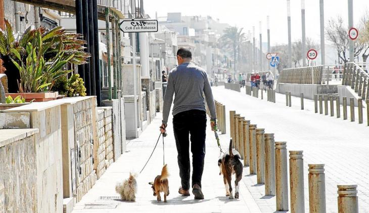 La multa que te puede caer por no recoger las heces de tu perro
