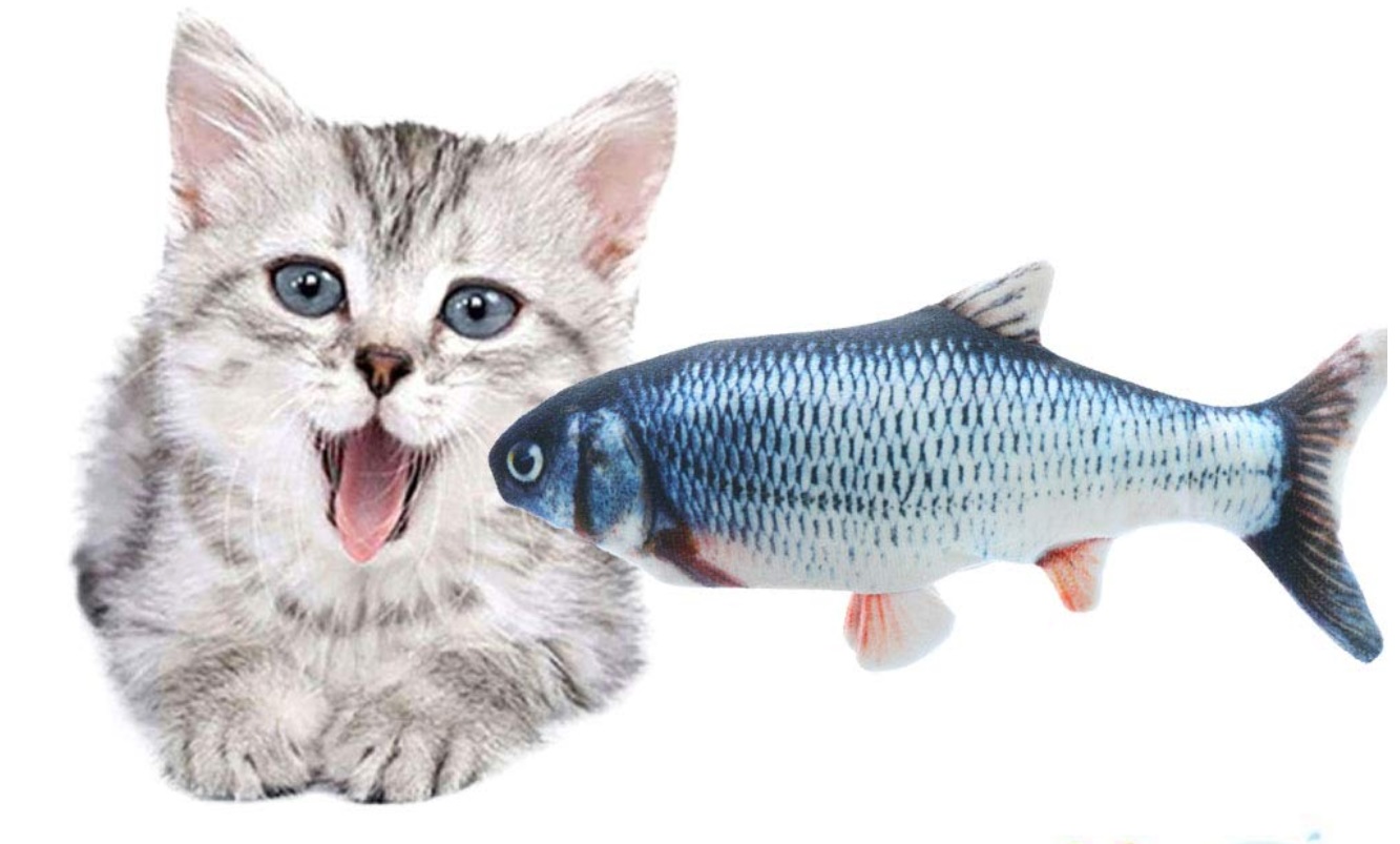 pez para gatos