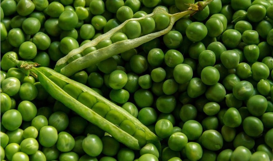 El sorpaso de Bonduelle a la oferta vegana y vegetariana