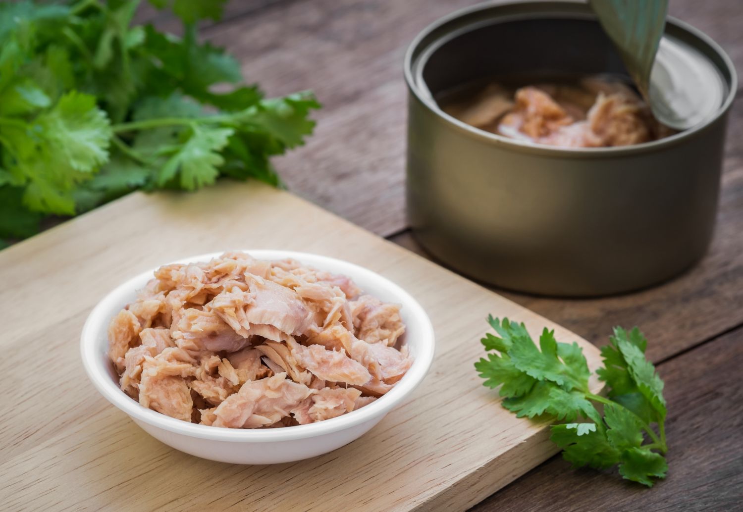 Ensaladas que puedes hacer con una lata de atún