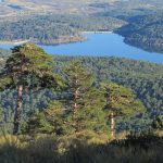 La ruta del agua: esto es lo que debes visitar en la Sierra de Madrid