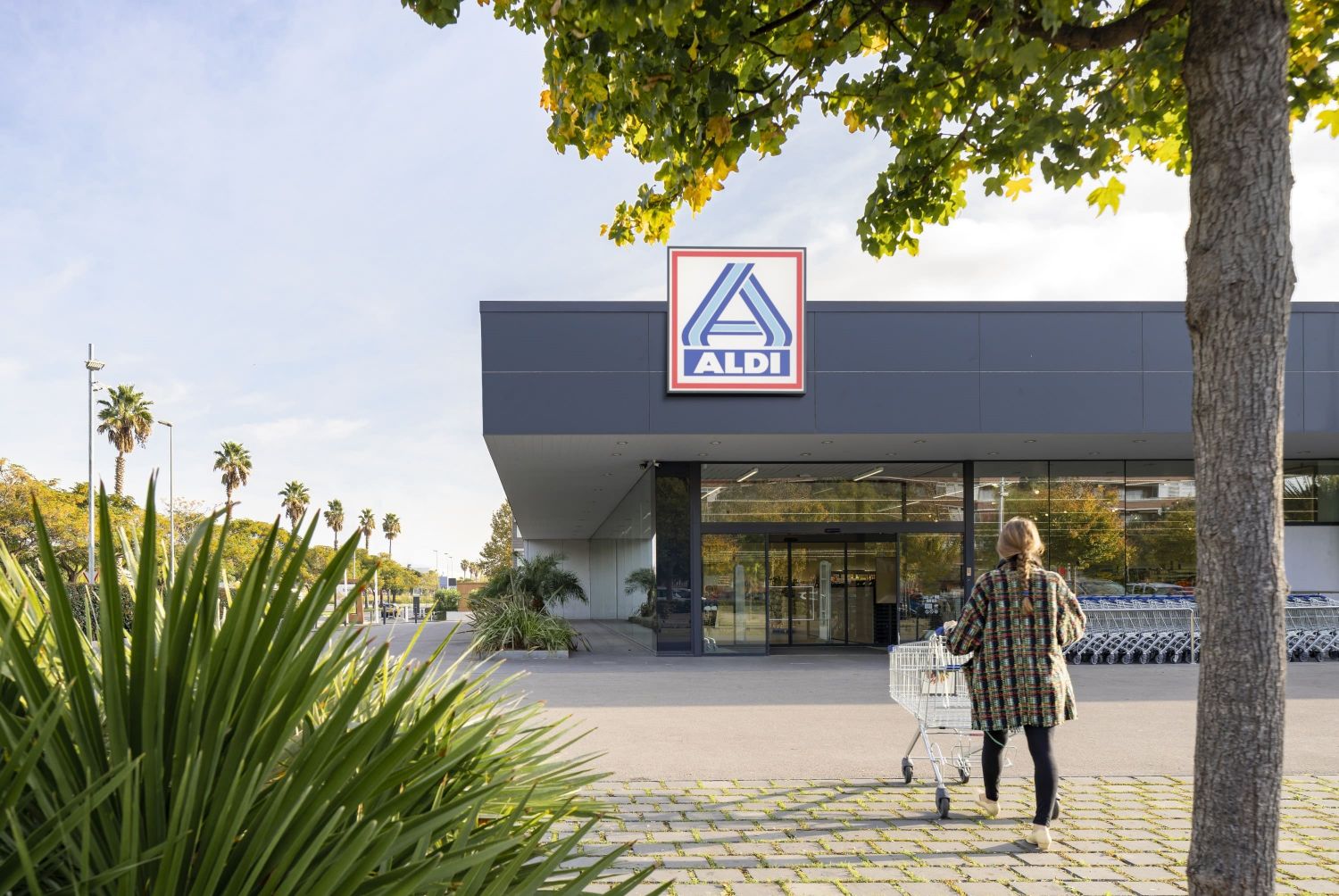 Aldi se juega la caza de Lidl en la subida de precios